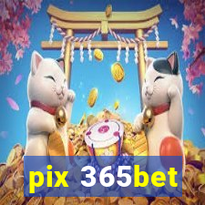 pix 365bet