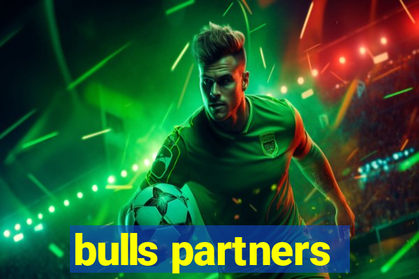 bulls partners