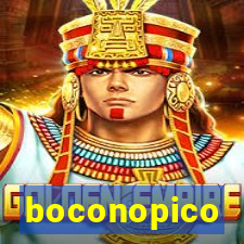 boconopico