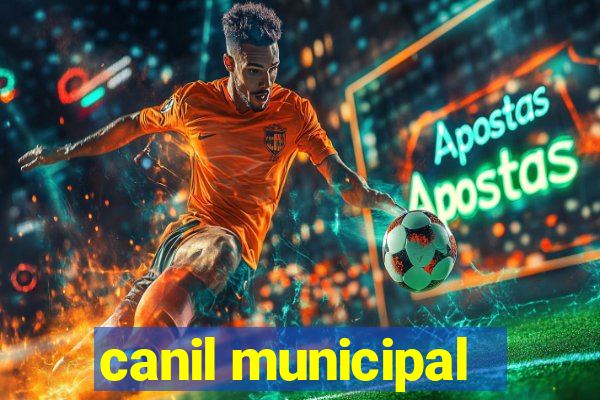 canil municipal