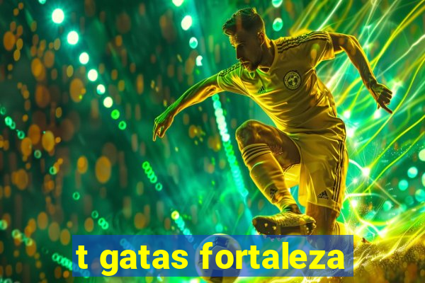 t gatas fortaleza