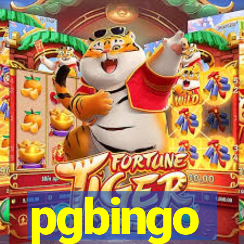 pgbingo