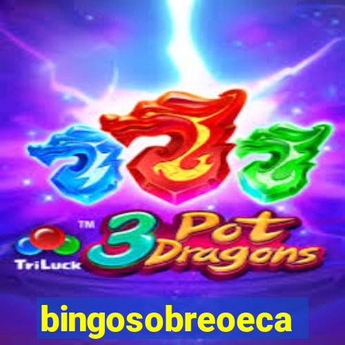 bingosobreoeca